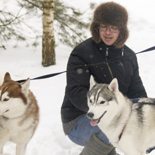 Фестиваль Международный фестиваль "Северные псы»