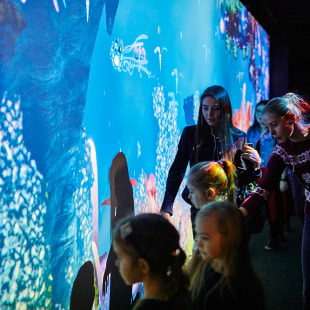 Выставка Future LIVE!2.0