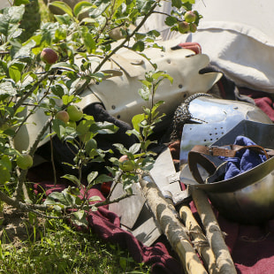 Фестиваль XI международный фестиваль славы белорусского оружия «Наш Грюнвальд»