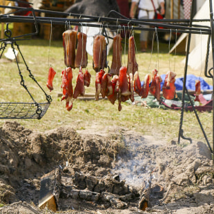 Фестиваль XI международный фестиваль славы белорусского оружия «Наш Грюнвальд»