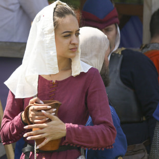 Фестиваль XI международный фестиваль славы белорусского оружия «Наш Грюнвальд»