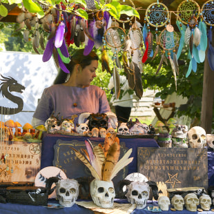 Фестиваль XI международный фестиваль славы белорусского оружия «Наш Грюнвальд»