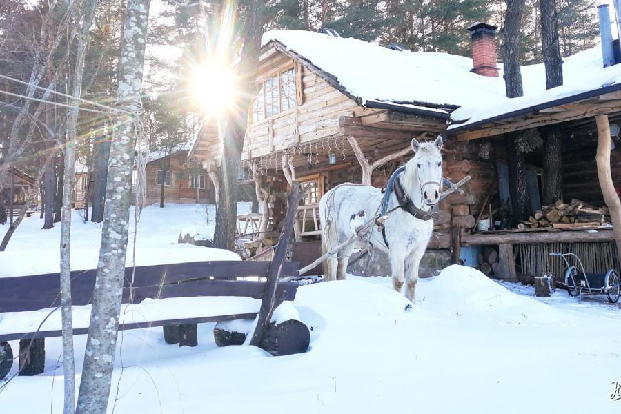 Праздник Масленица в усадьбе «Заповедный остров»