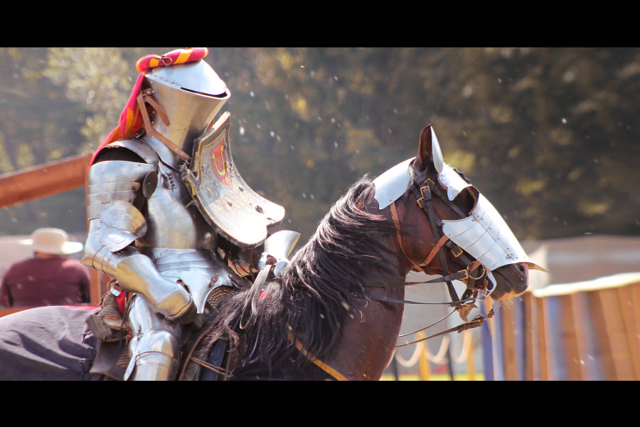 Фестиваль XII Международный фестиваль средневековой культуры «Наш Грюнвальд 2021»