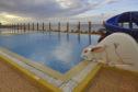 Отель Palmyra Holiday Resort & Spa -  Фото 7