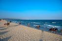 Тур Le Royal Hammamet -  Фото 4