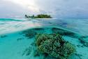 Тур Fushifaru Maldives -  Фото 3