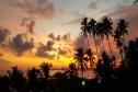 Тур Marriott Weligama Bay Resort & Spa -  Фото 4