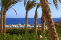 Отель Viva Blue Resort and Diving Sharm El Naga (Adults Only) -  Фото 11