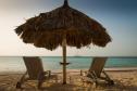 Отель Divi Aruba Phoenix Beach Resort -  Фото 16