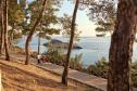 Отель White Rocks Hotel Kefalonia -  Фото 12