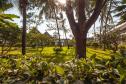 Отель DoubleTree Resort by Hilton Zanzibar Nungwi -  Фото 15