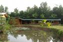 Тур Mangrove Villa - Bentota River -  Фото 4
