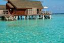 Отель LUX* South Ari Atoll (ex.LUX* Maldives) -  Фото 4