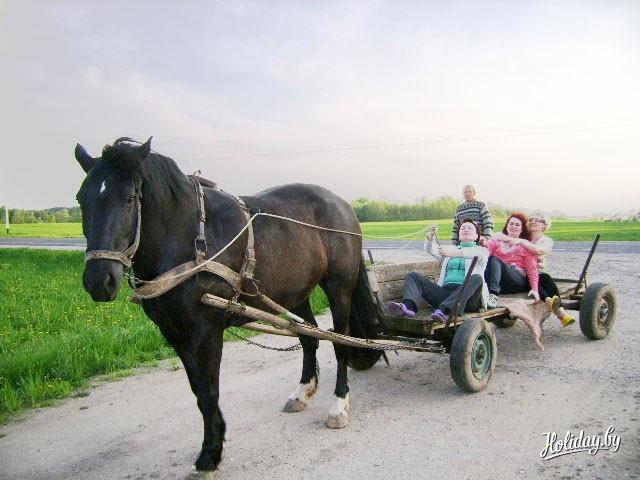 Покататься на лошади в усадьбе «Ля Свяцка» в Гродненской области