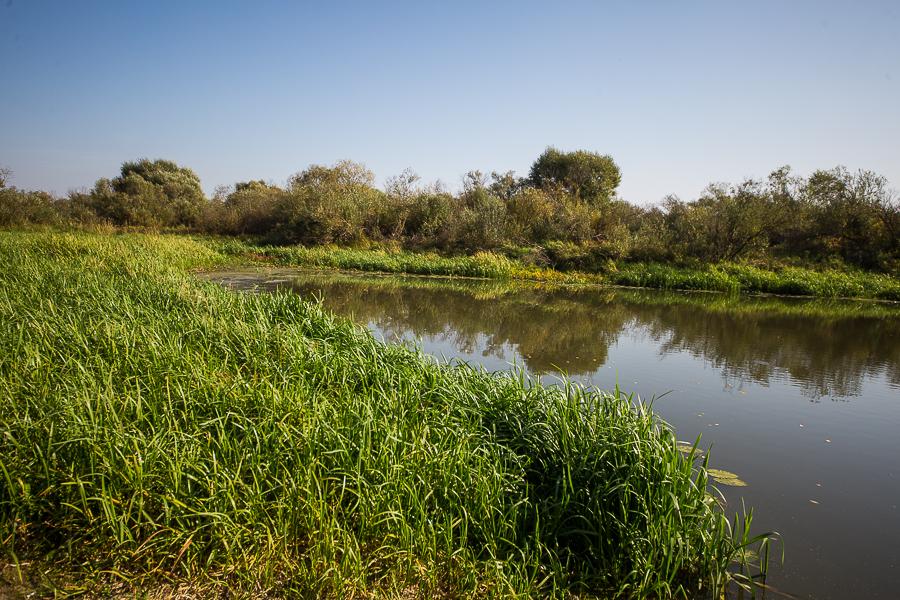 Территория усадьбы «Берлога Hall» возле реки Березина