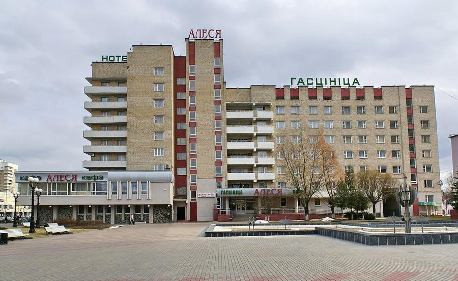 Отель Отель Алеся