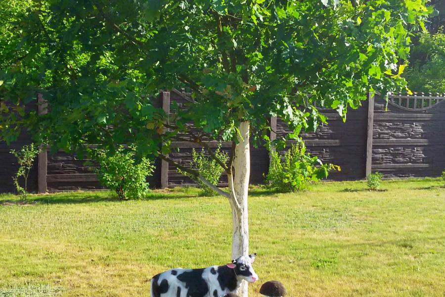 Отдых в усадьбе "Неманский куток"