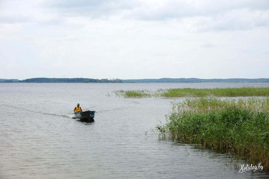 Коттедж «Датский» в аренду на Браславах. Новый год в коттедже