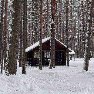 Санаторий Журавушка