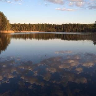 Усадьба «Медвежий угол» в Витебской области. Новый год в Белоруссии