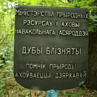 Достопримечательности в окрестностях усадьбы «Олизаровщина №1»