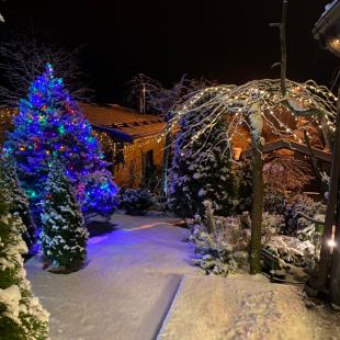 Домик на двоих в усадьбе «У Антила»