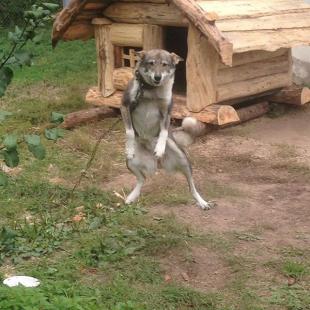 Туристический этнокультурный маршрут "Велесов путь"