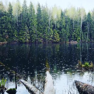 Туристический этнокультурный маршрут "Велесов путь"