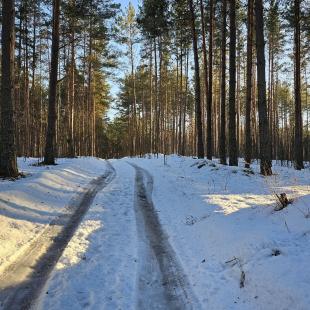 Зима в Hygge Lakes & Forest Club