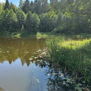 Усадьба «Домики в лесу», гостевой домик