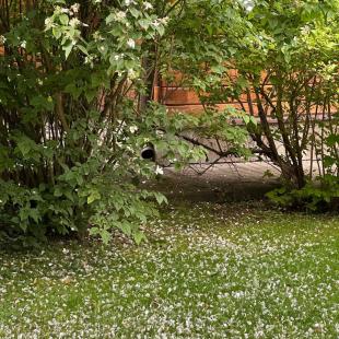 Усадьба «Домики в лесу», гостевой домик