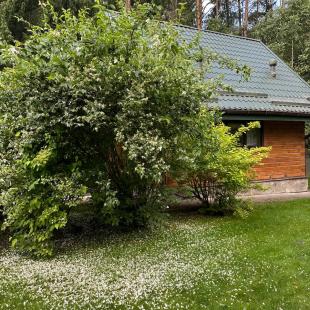 Усадьба «Домики в лесу», гостевой домик