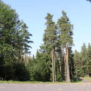 База отдыха «Заячья поляна» в Минской области