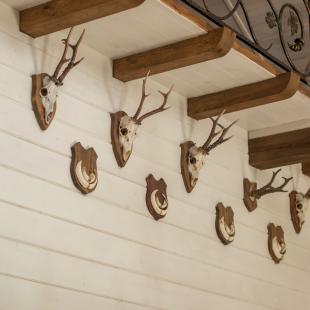 Дом для проживания и малый банкетный зал