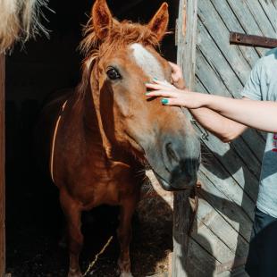 Усадебно-парковый комплекс «Святск Гурских»