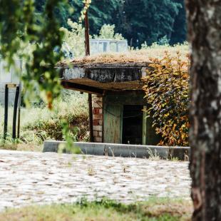 Усадебно-парковый комплекс «Святск Гурских»