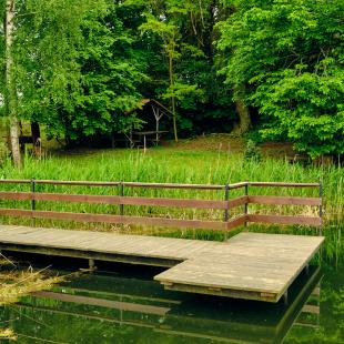 Усадебно-парковый комплекс «Святск Гурских»