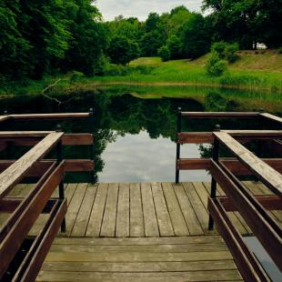 Усадебно-парковый комплекс «Святск Гурских»
