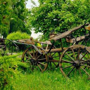 Усадебно-парковый комплекс «Святск Гурских»