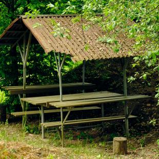 Усадебно-парковый комплекс «Святск Гурских»