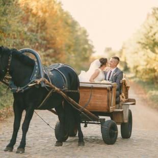 Свадебная фотосессия с лошадьми, прогулки в карете и на лошадях верхом