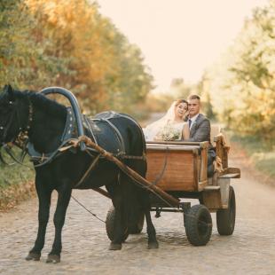Свадебная фотосессия с лошадьми, прогулки в карете и на лошадях верхом