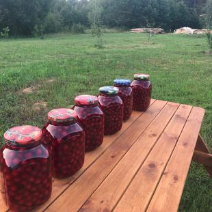 Коттедж Stesha Lodge в Витебской области