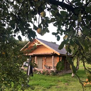 Коттедж Stesha Lodge в Витебской области