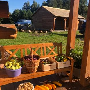 Коттедж Stesha Lodge в Витебской области