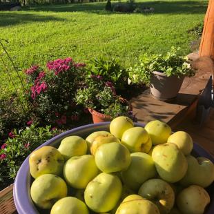 Коттедж Stesha Lodge в Витебской области