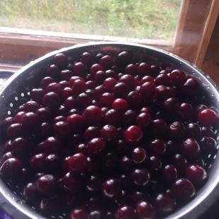 Коттедж Stesha Lodge в Витебской области