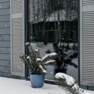 Зимний ПРОВАНС