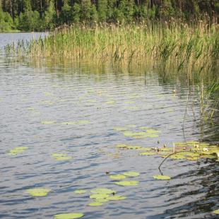 Усадьба «Медвежий угол» в Витебской области. Где можно порыбачить зимой